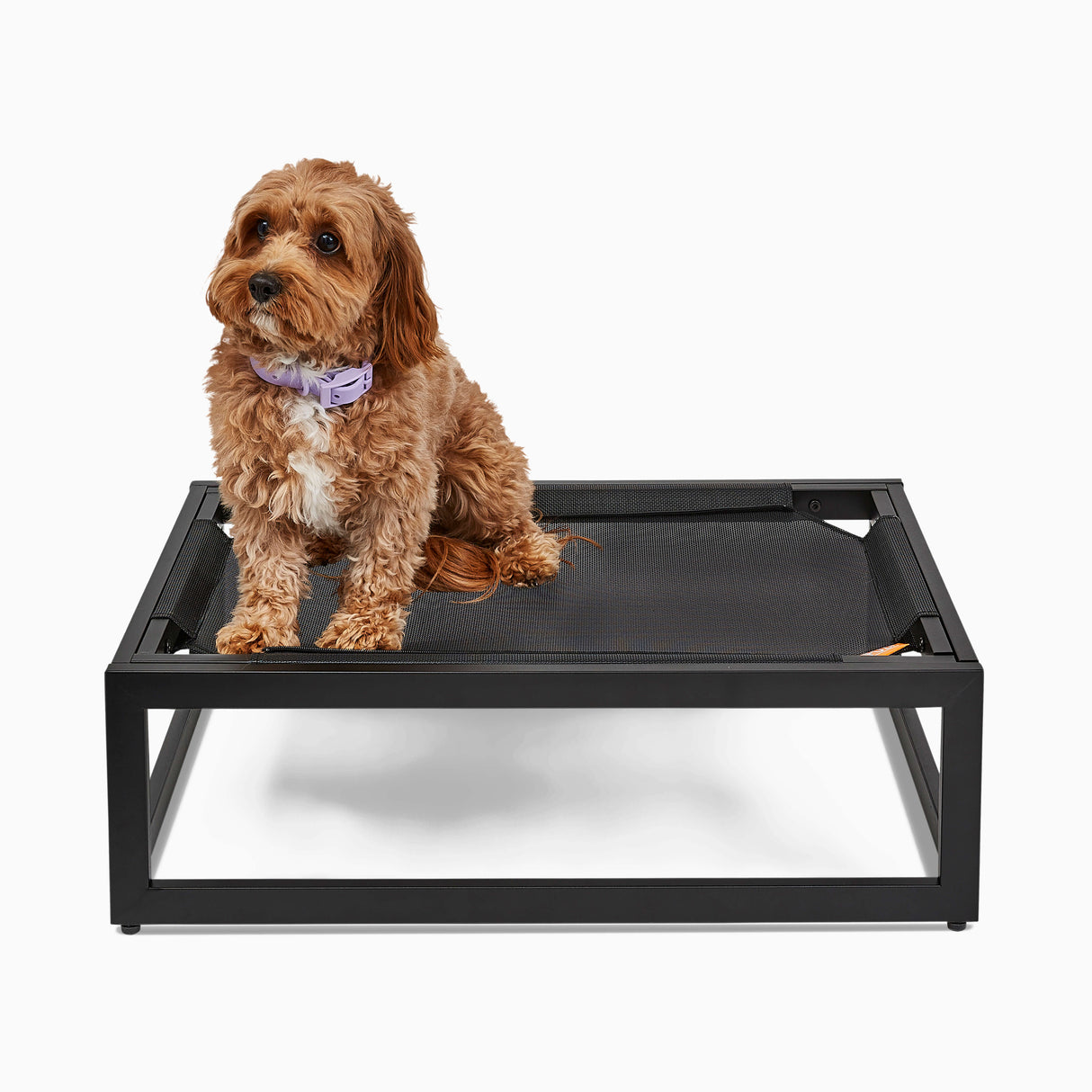 The Up Pup Raised Dog Bed