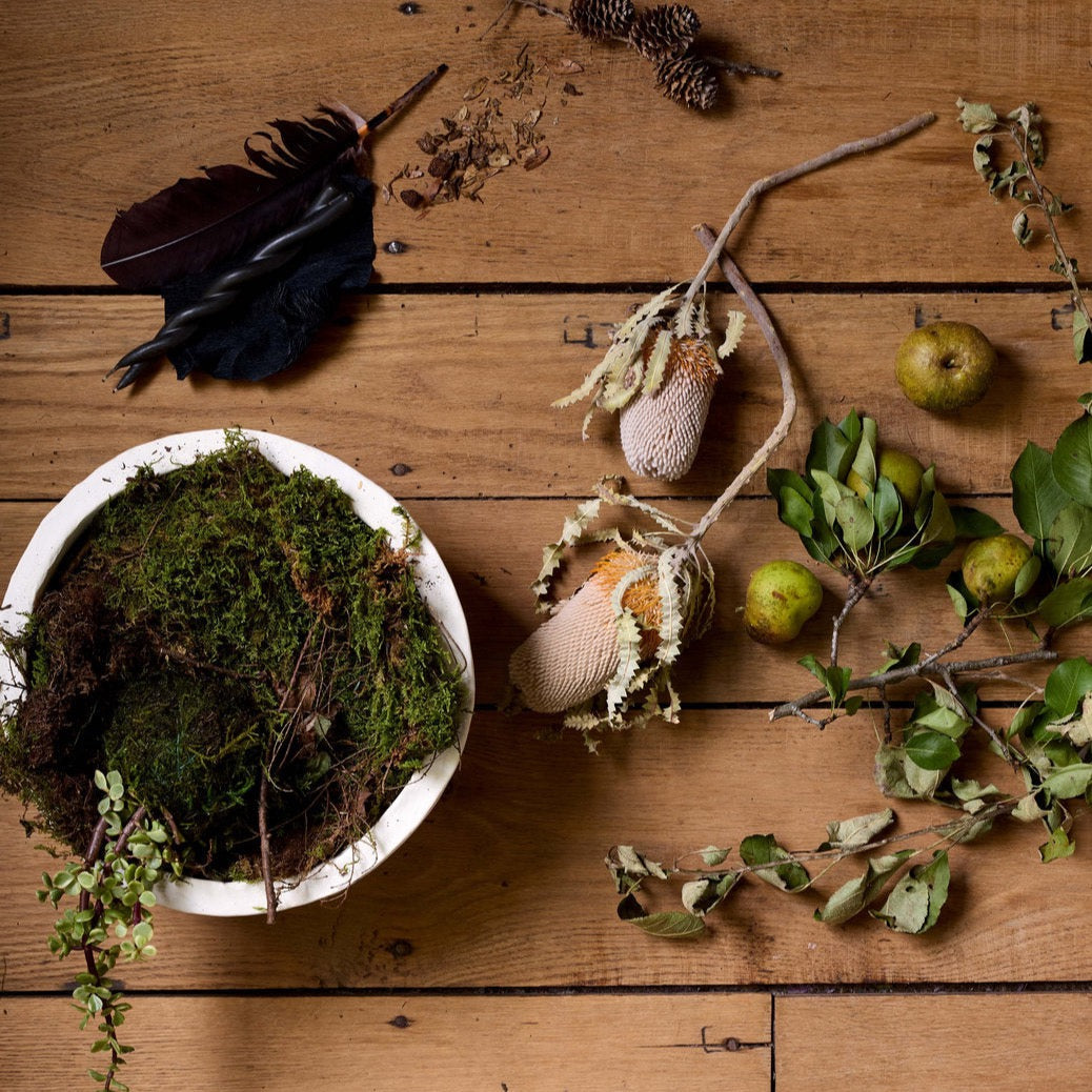 Set of Three Dried Natural Banksia