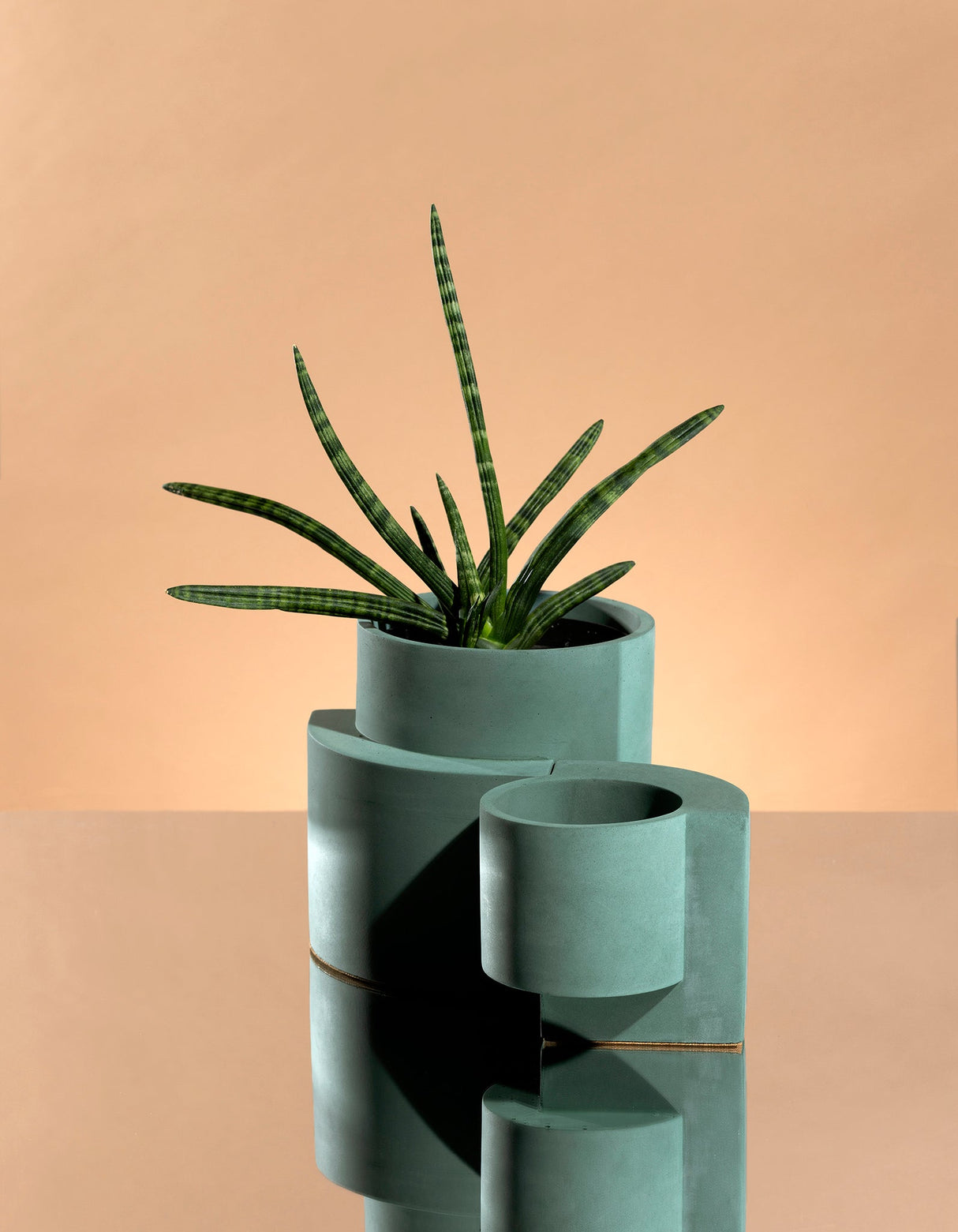 Platform Planter Set