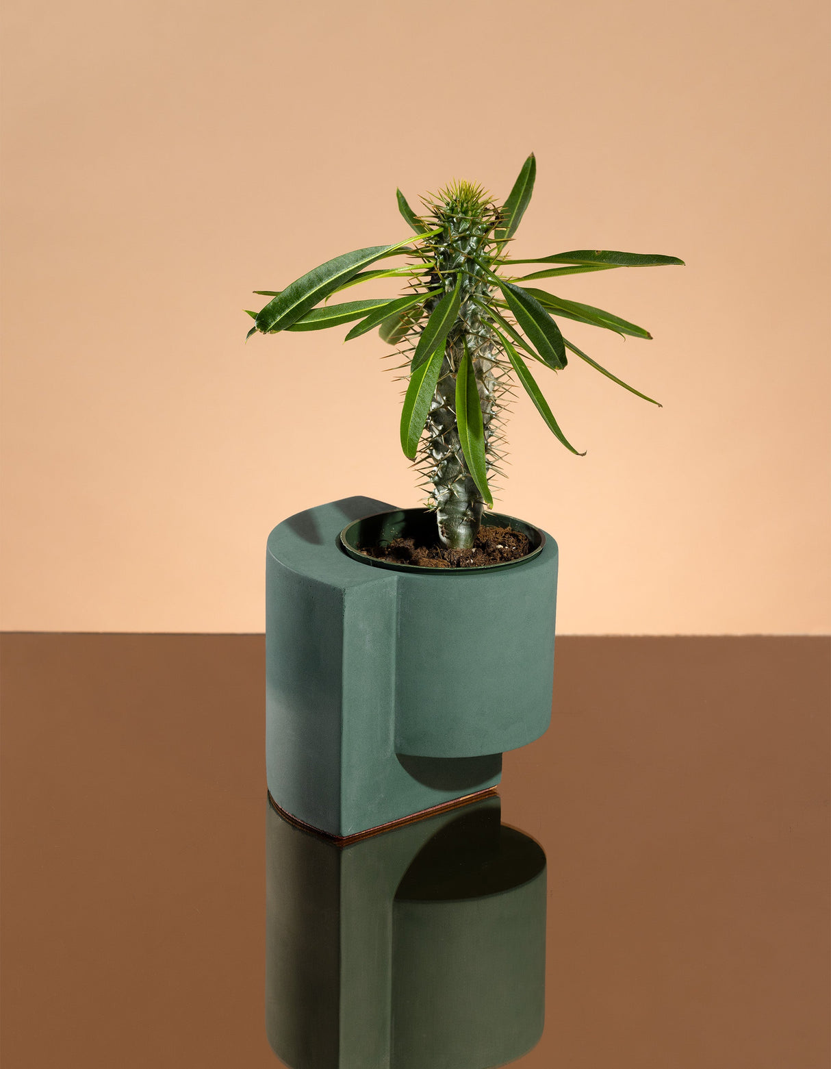 Platform Planter Small - Polished Concrete