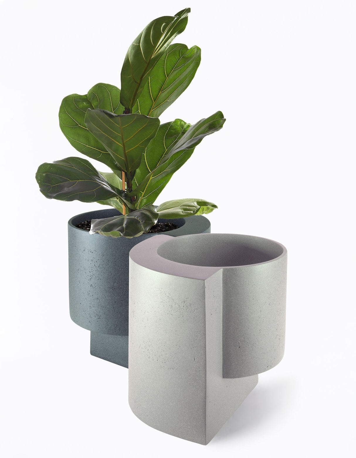 Platform Planter Large