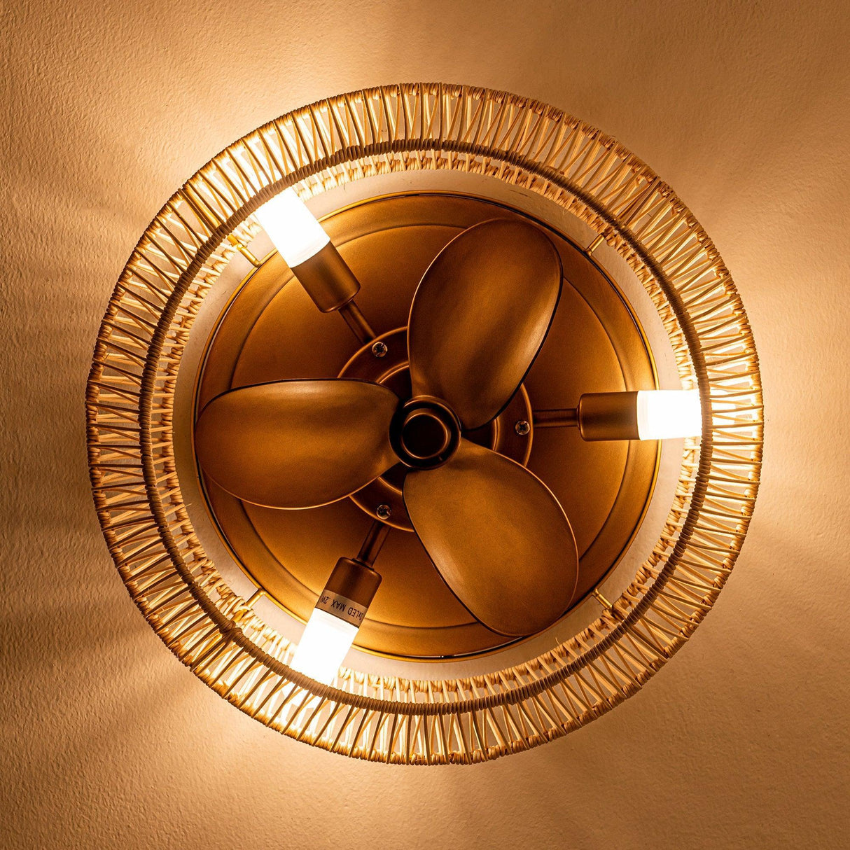 14" Farmhouse DC Motor Flush Mount Reversible Iron Ceiling Fan with LED Lighting and Remote Control