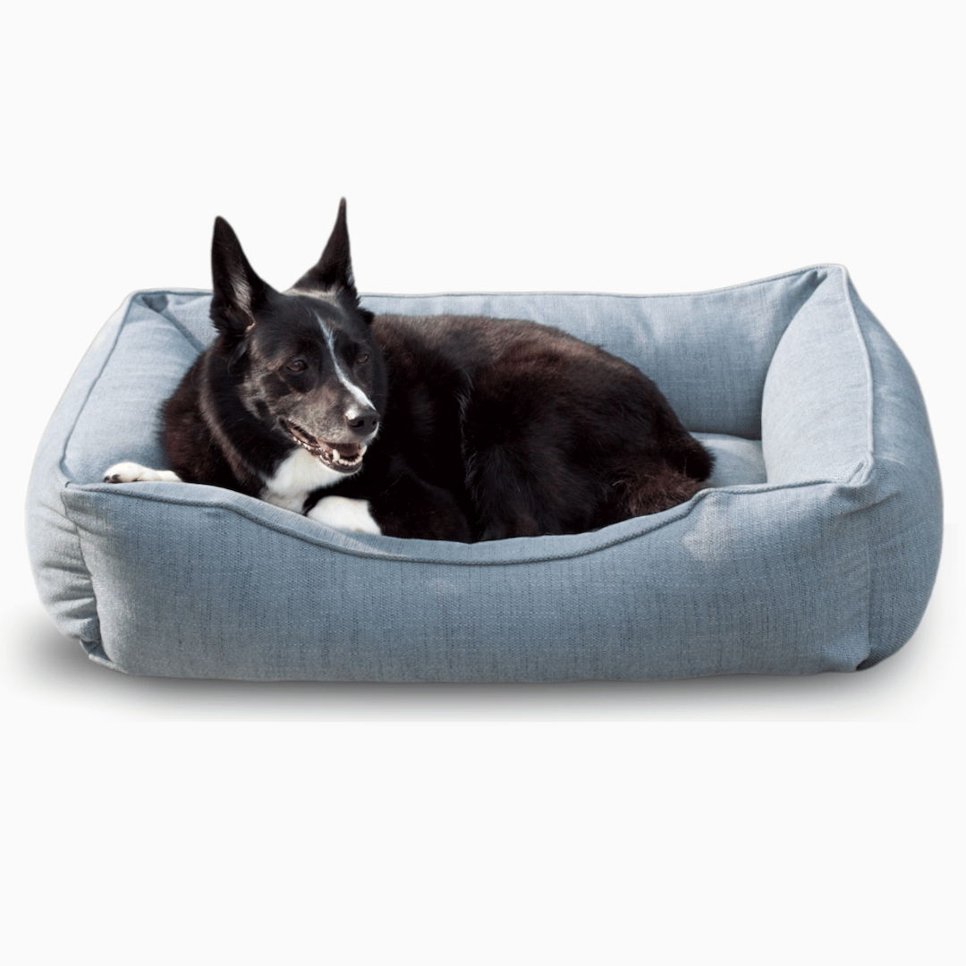 The Sammy Bolster Dog Bed