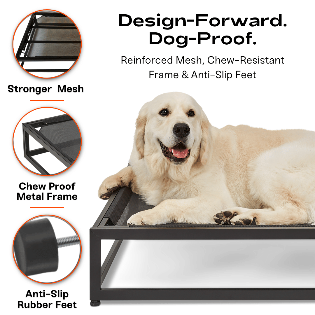 The Up Pup Raised Dog Bed