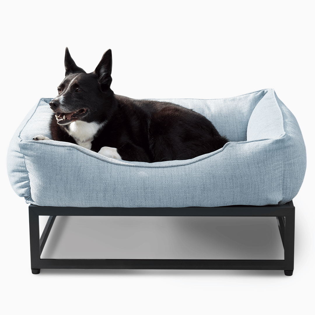 The FÜZI Elevated Dog Bed