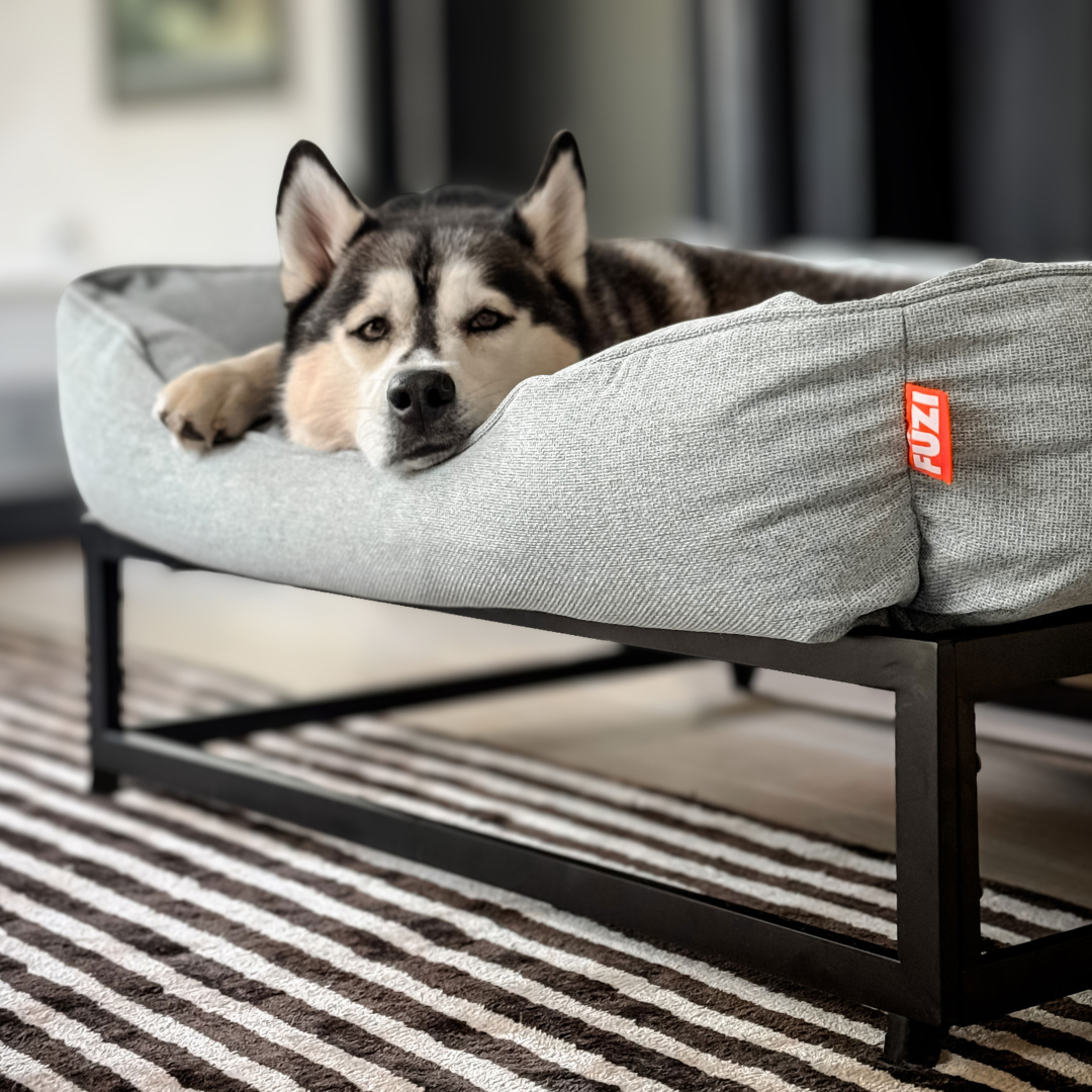 The FÜZI Elevated Dog Bed