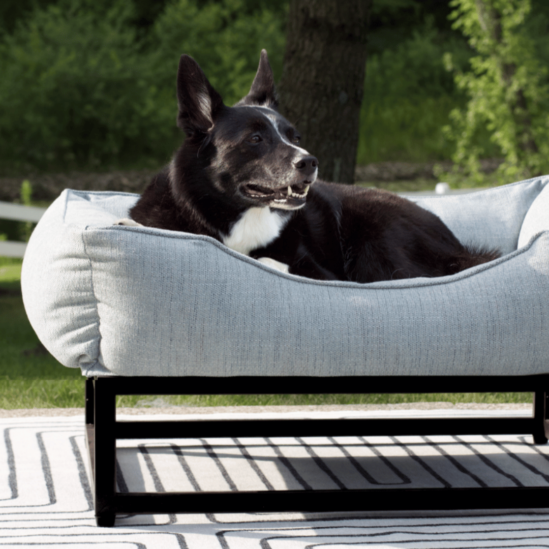 The FÜZI Elevated Dog Bed