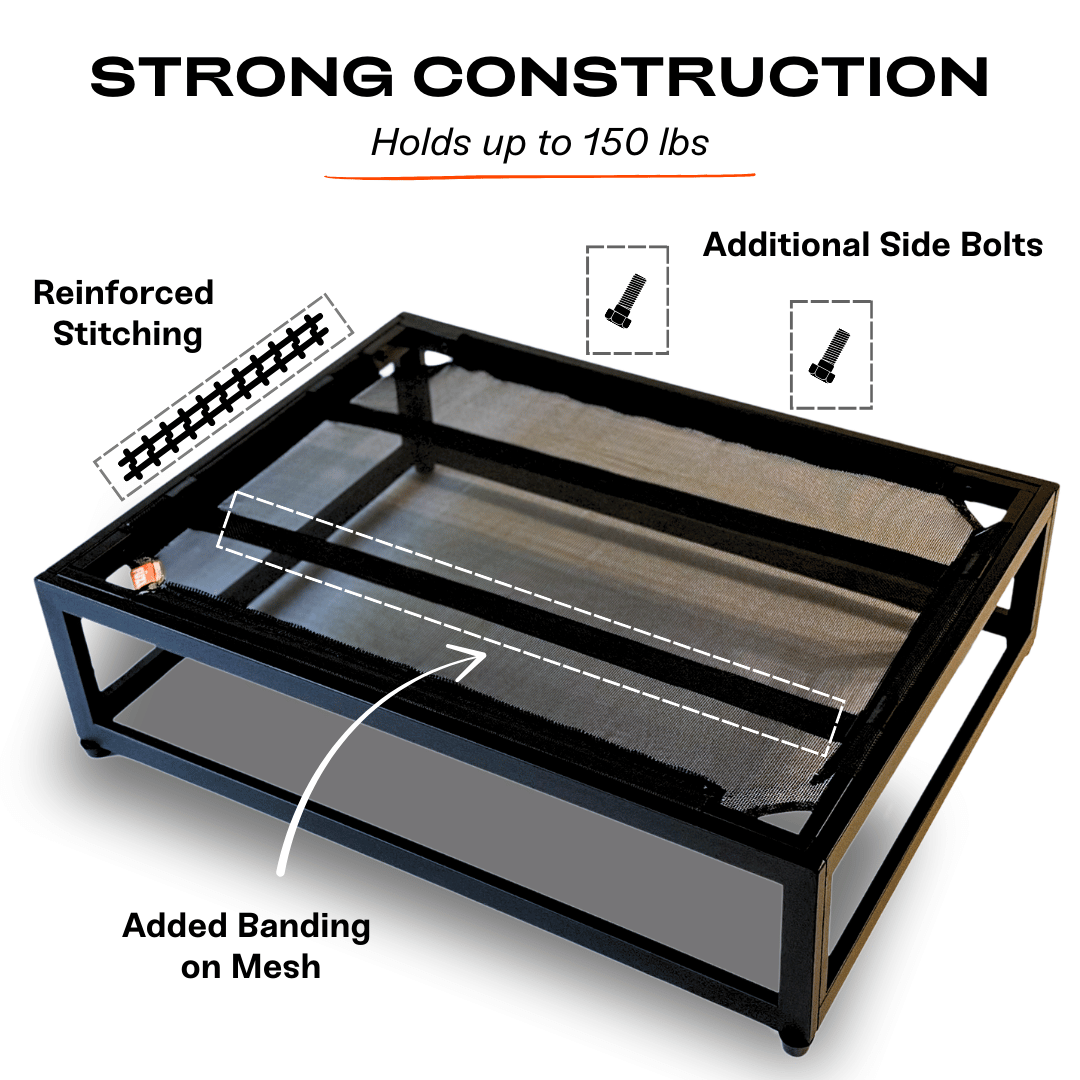 The Up Pup Raised Dog Bed