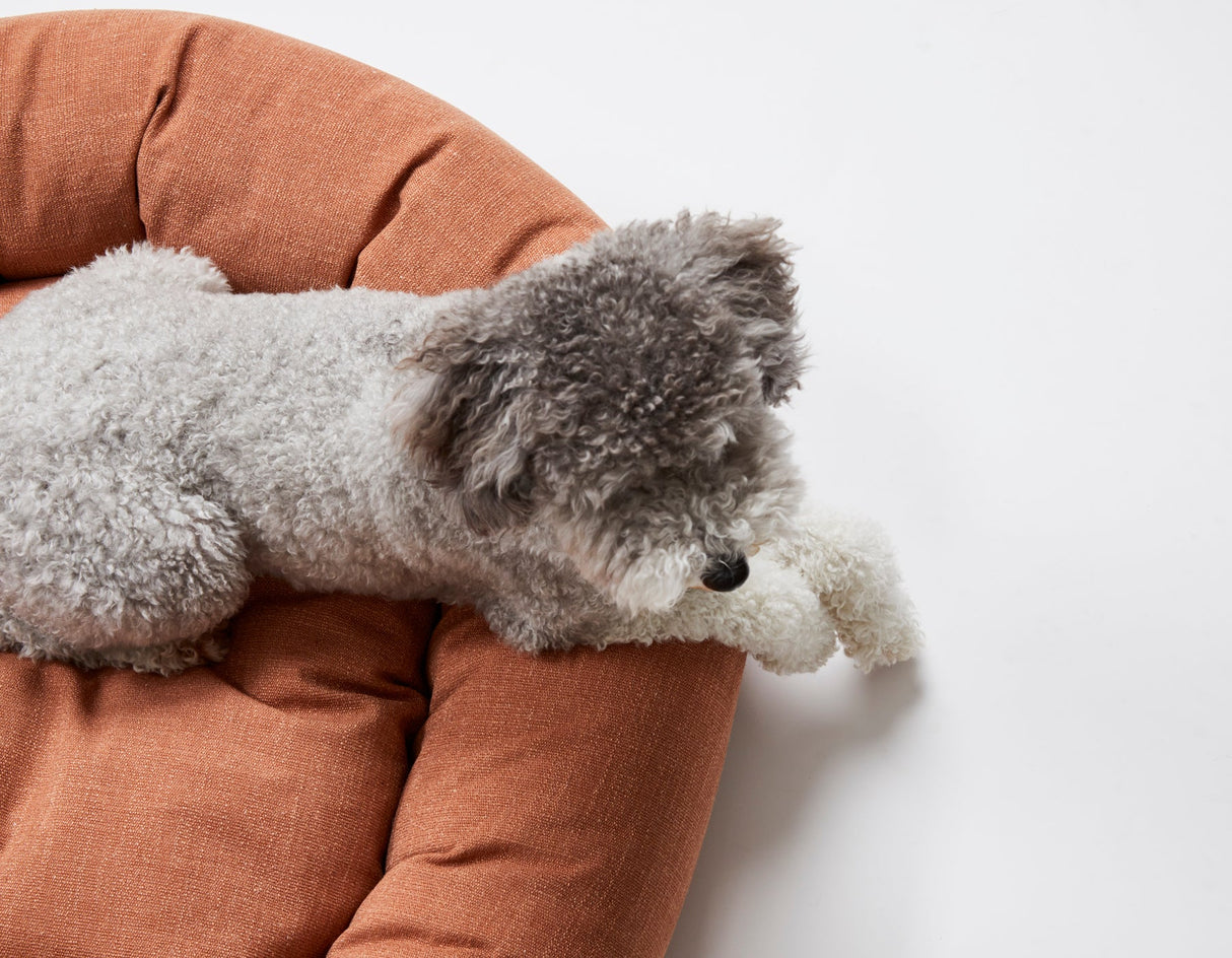Warby Terracotta Donut Bed