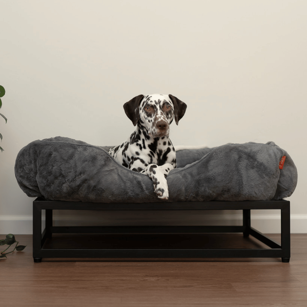 The FÜZI Elevated Dog Bed