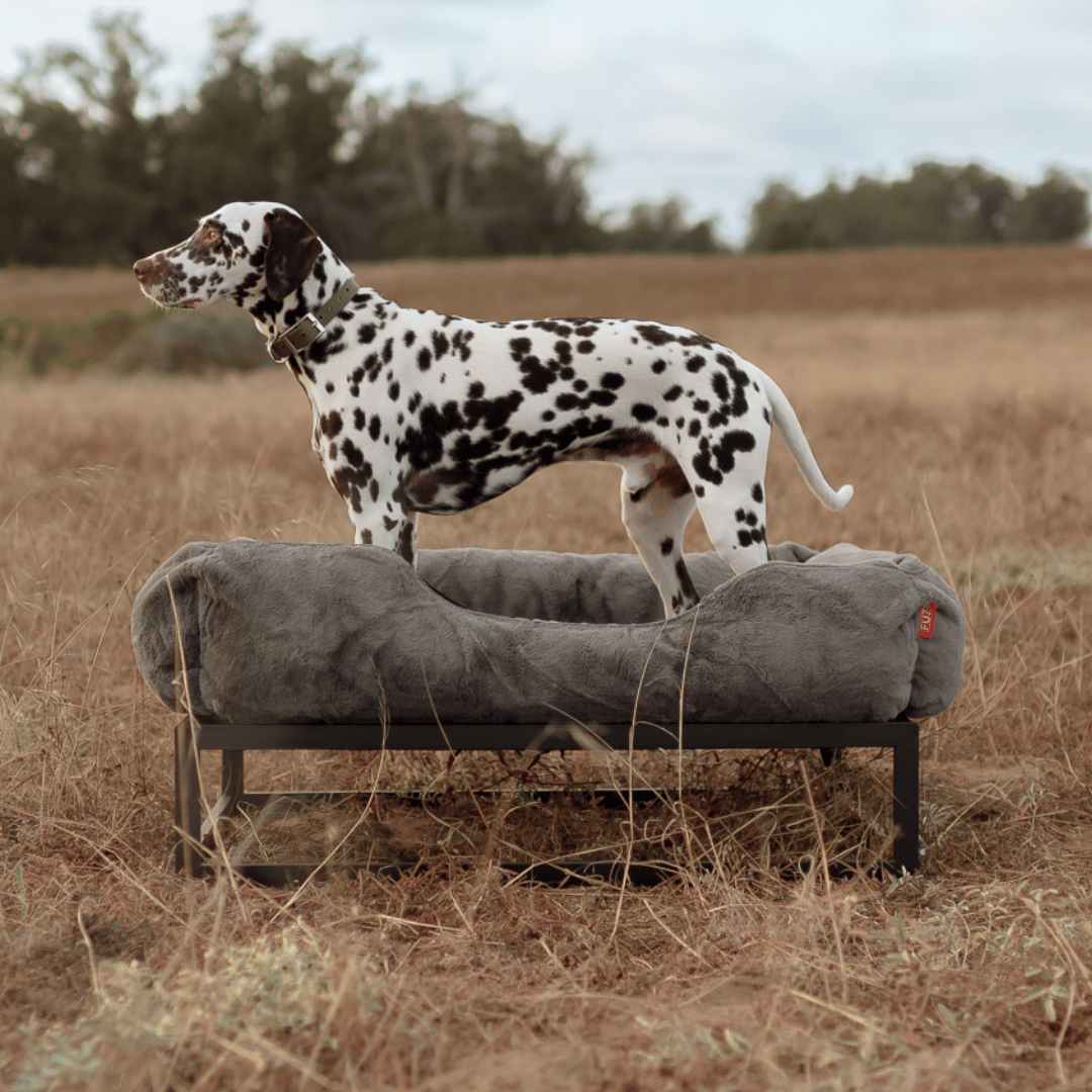 The FÜZI Elevated Dog Bed