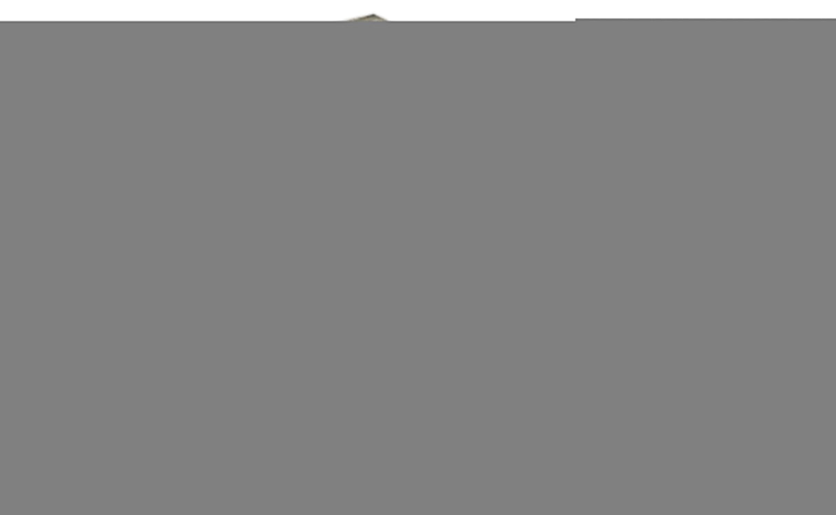 Hand Knotted Living Room Rug Charcoal, Red and Beige Traditional Vintage Style Custom Made Wool Area Rug