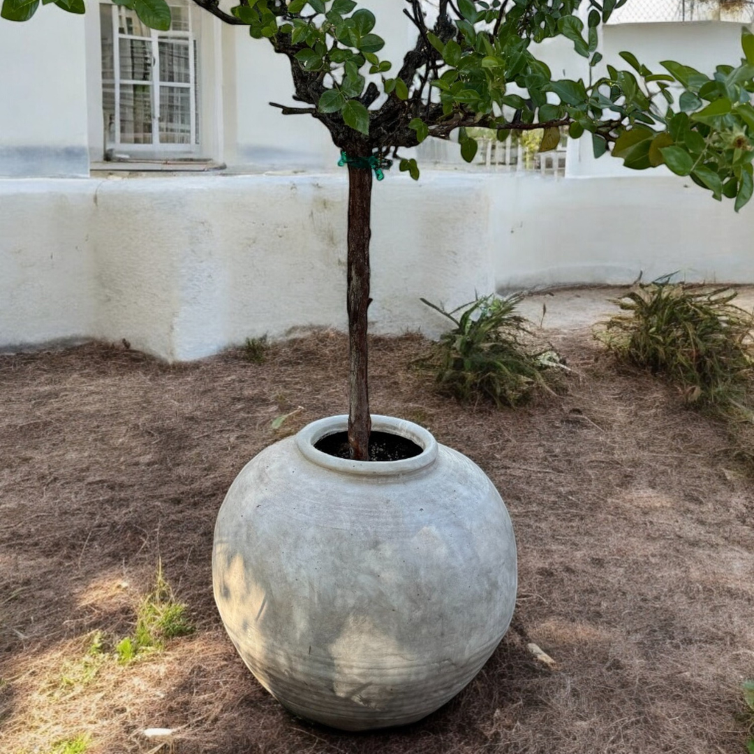 Greystone Fiber Clay Vessel in Aged White, 18.5"D x 14.4" H