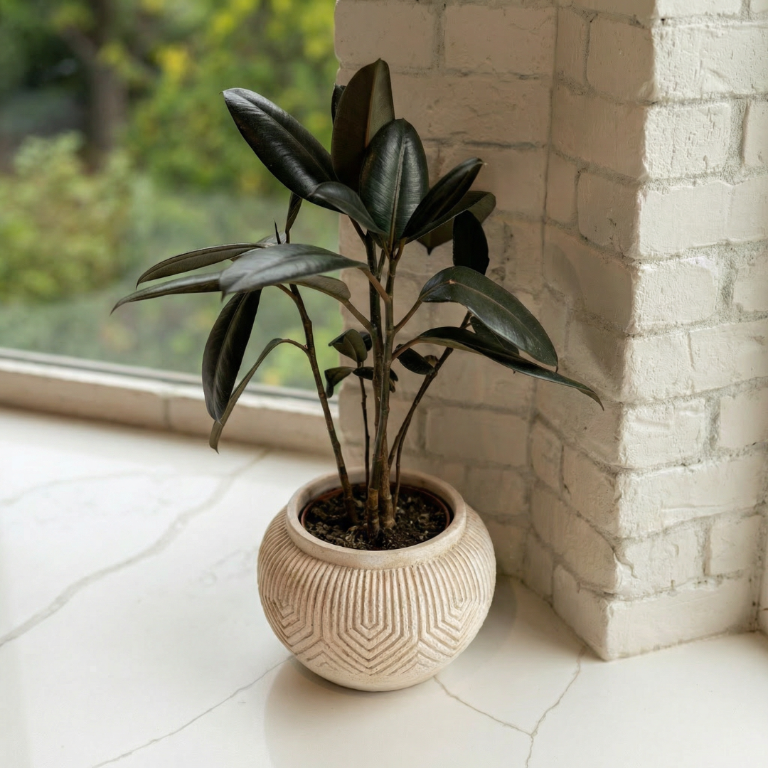 Linden Concrete Vessel Natural Sandstone, 8"D X 6"H