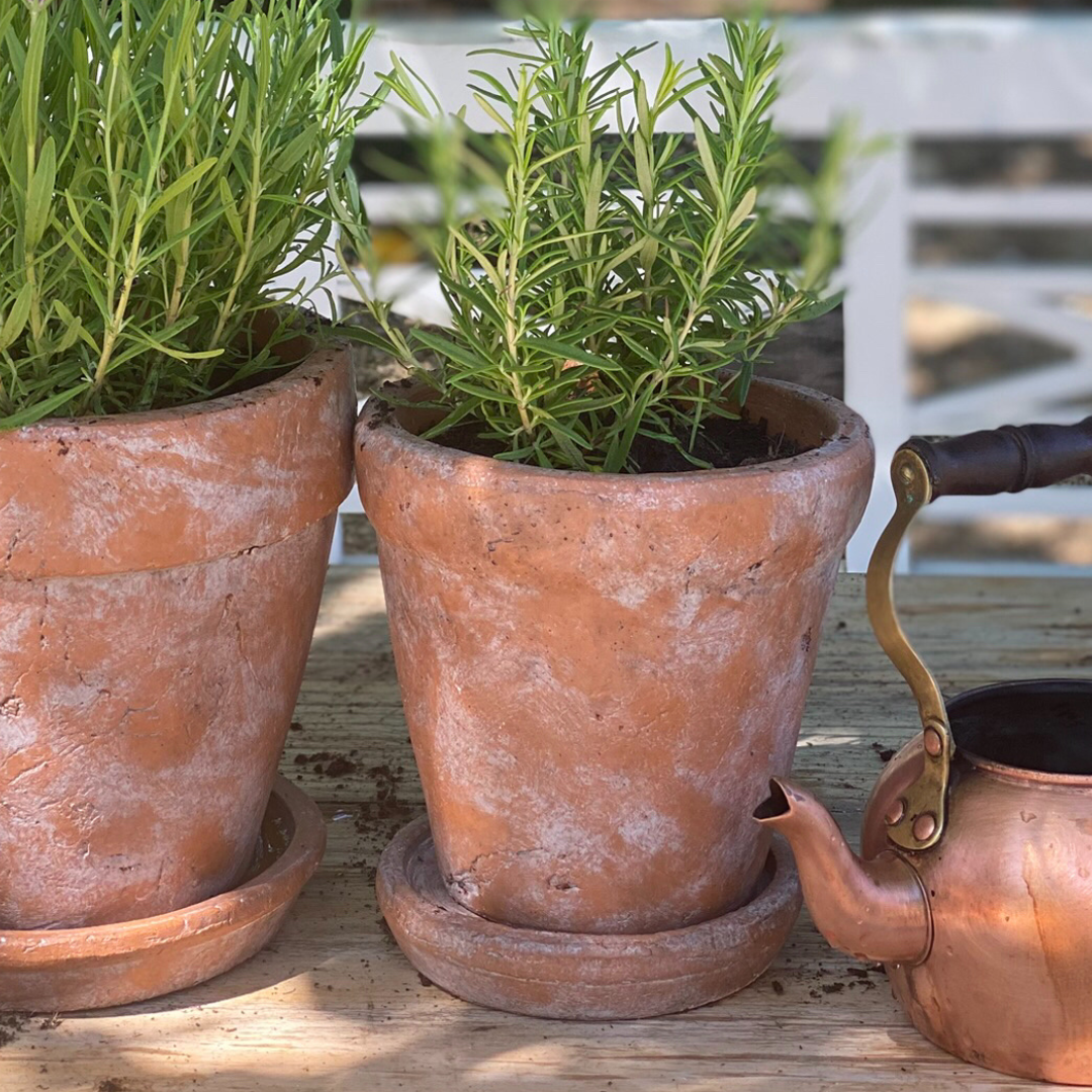 Venice Cement Planter with Dish and Drainage Hole, Handcrafted in Aged Terracotta, Medium & Large