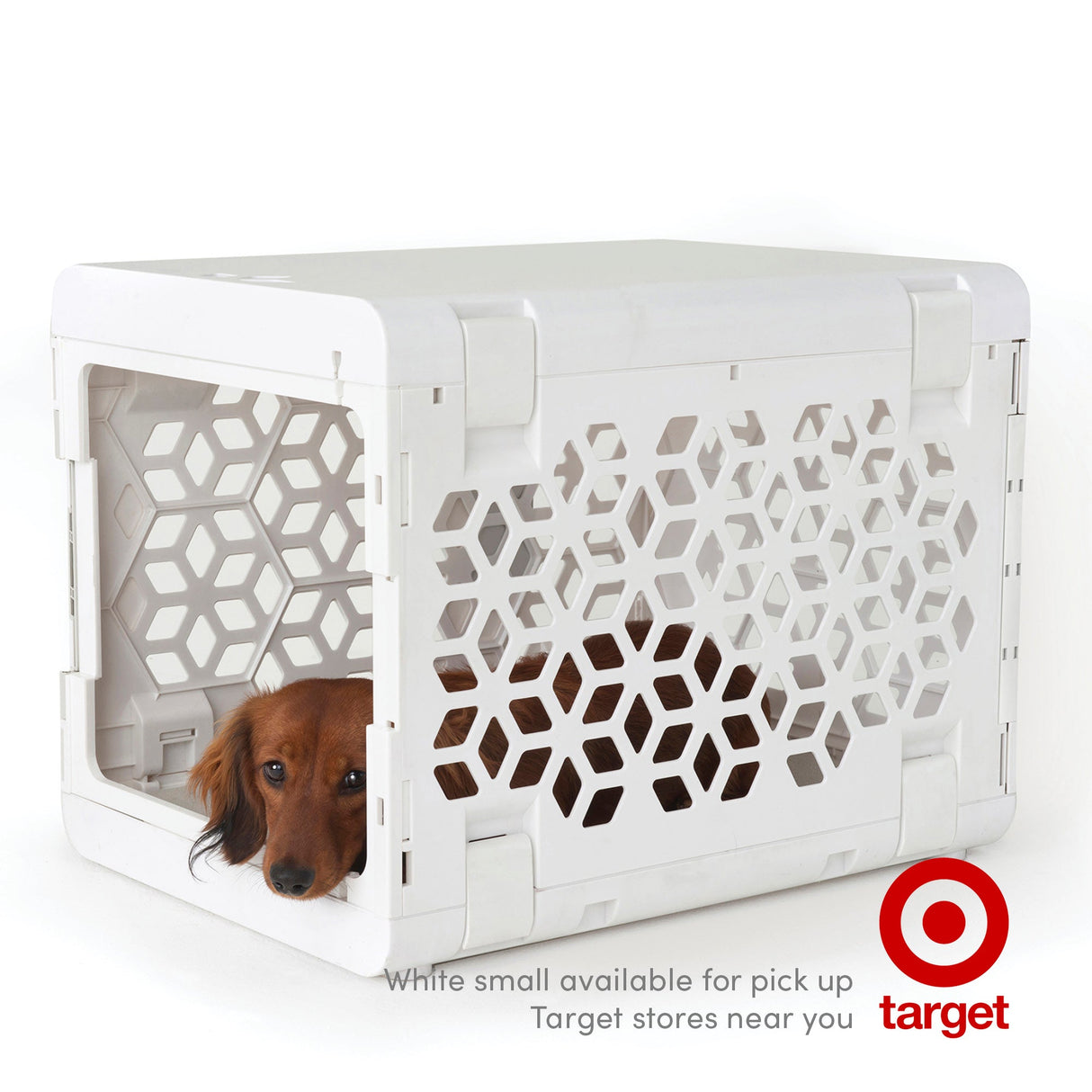 PAWD® Modern Collapsible Dog Crate