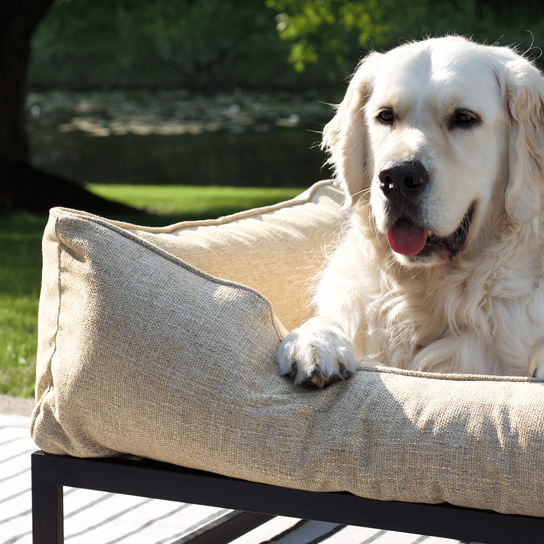 The FÜZI Elevated Dog Bed