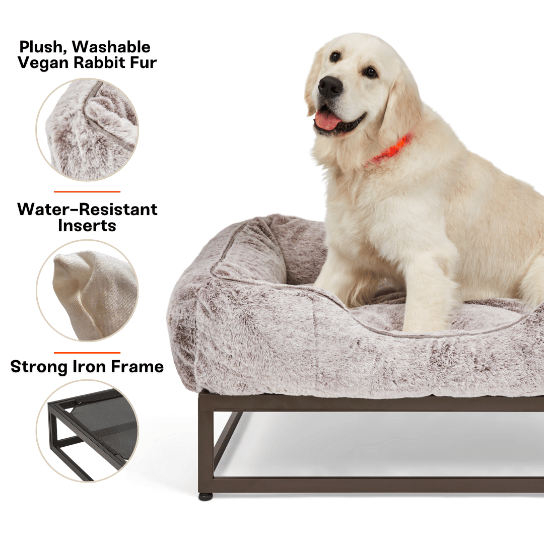 The FÜZI Elevated Dog Bed