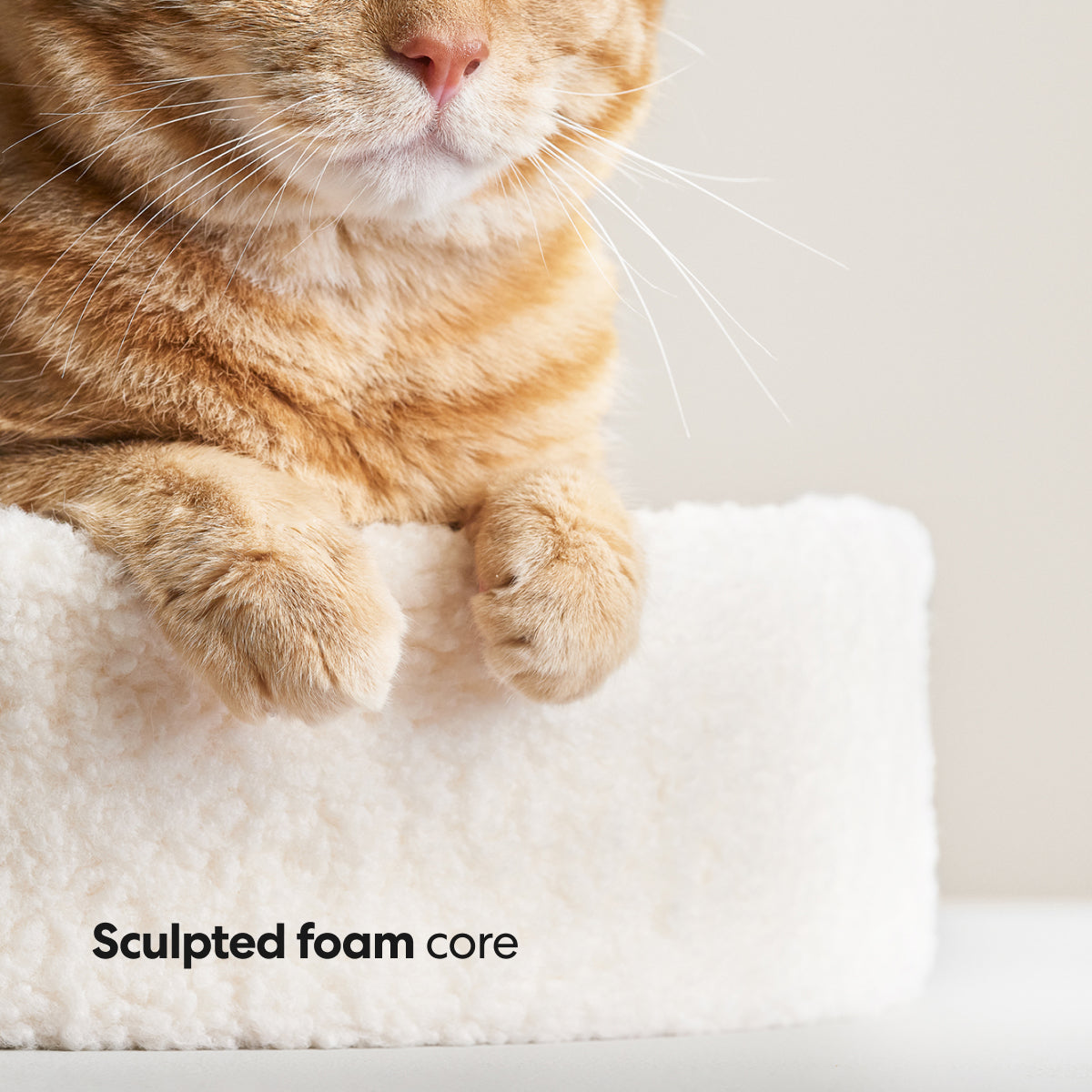 Kip Cat Bed