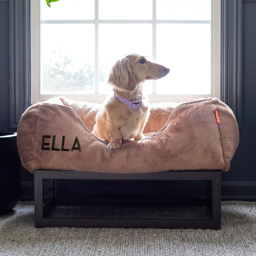 The FÜZI Elevated Dog Bed