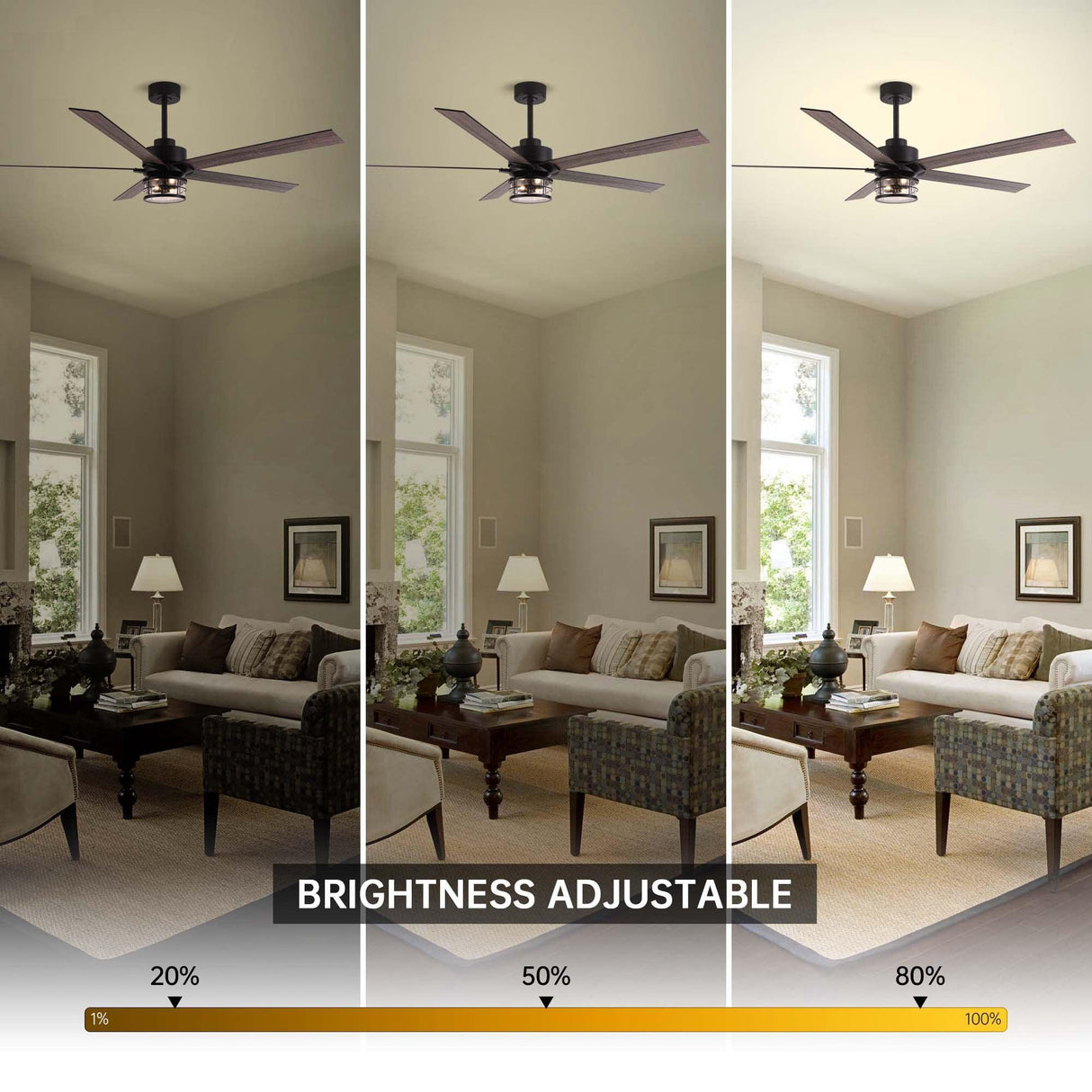 65" Modern DC Motor Downrod Mount Reversible Ceiling Fan With Lighting And Remote Control