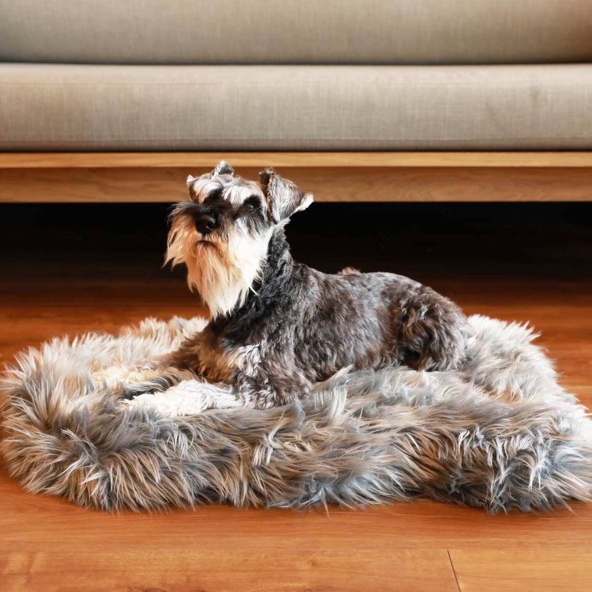 PupRug by Paw.com® Faux Fur Orthopedic Dog Bed - Curve Charcoal Grey