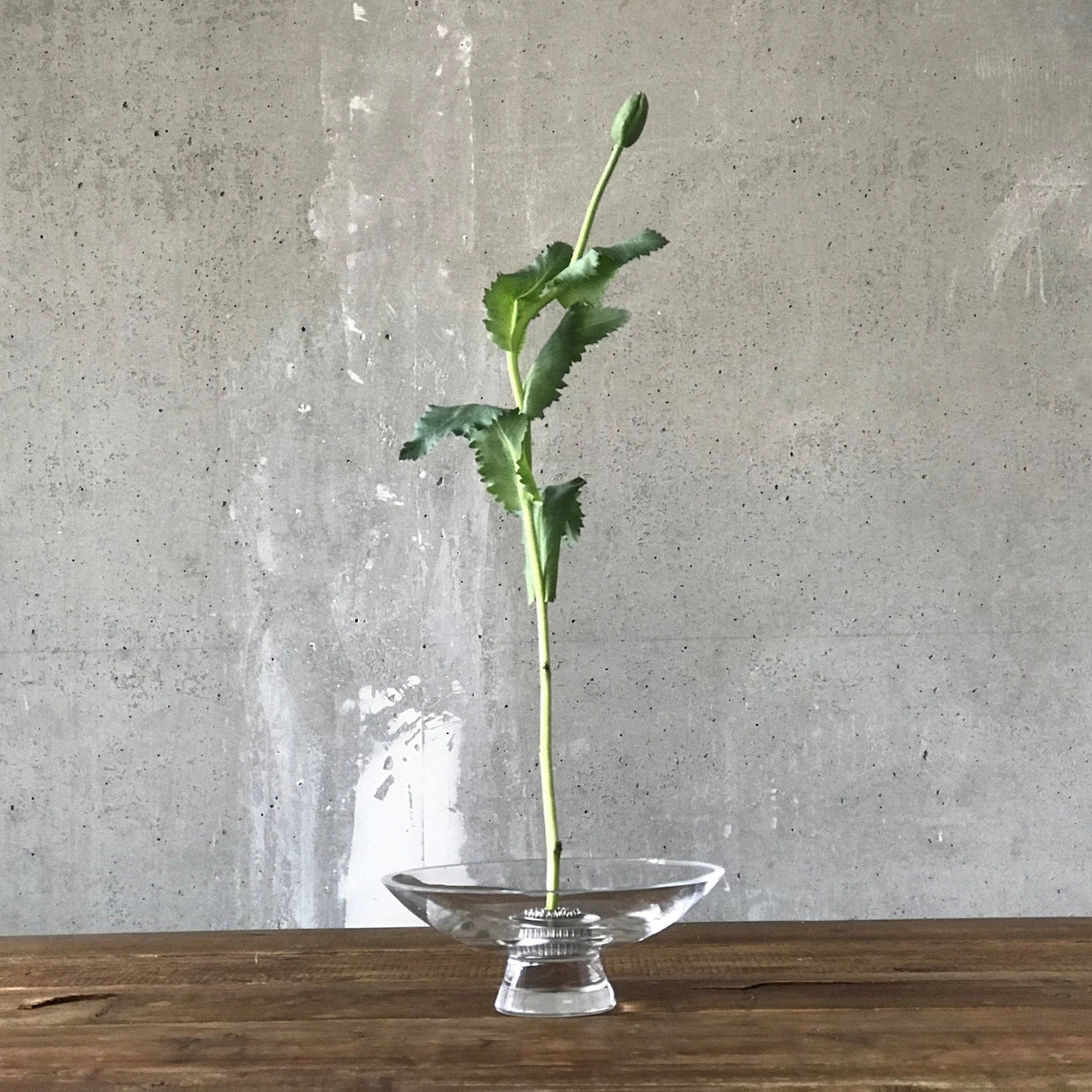 Silhouette Bowl Large