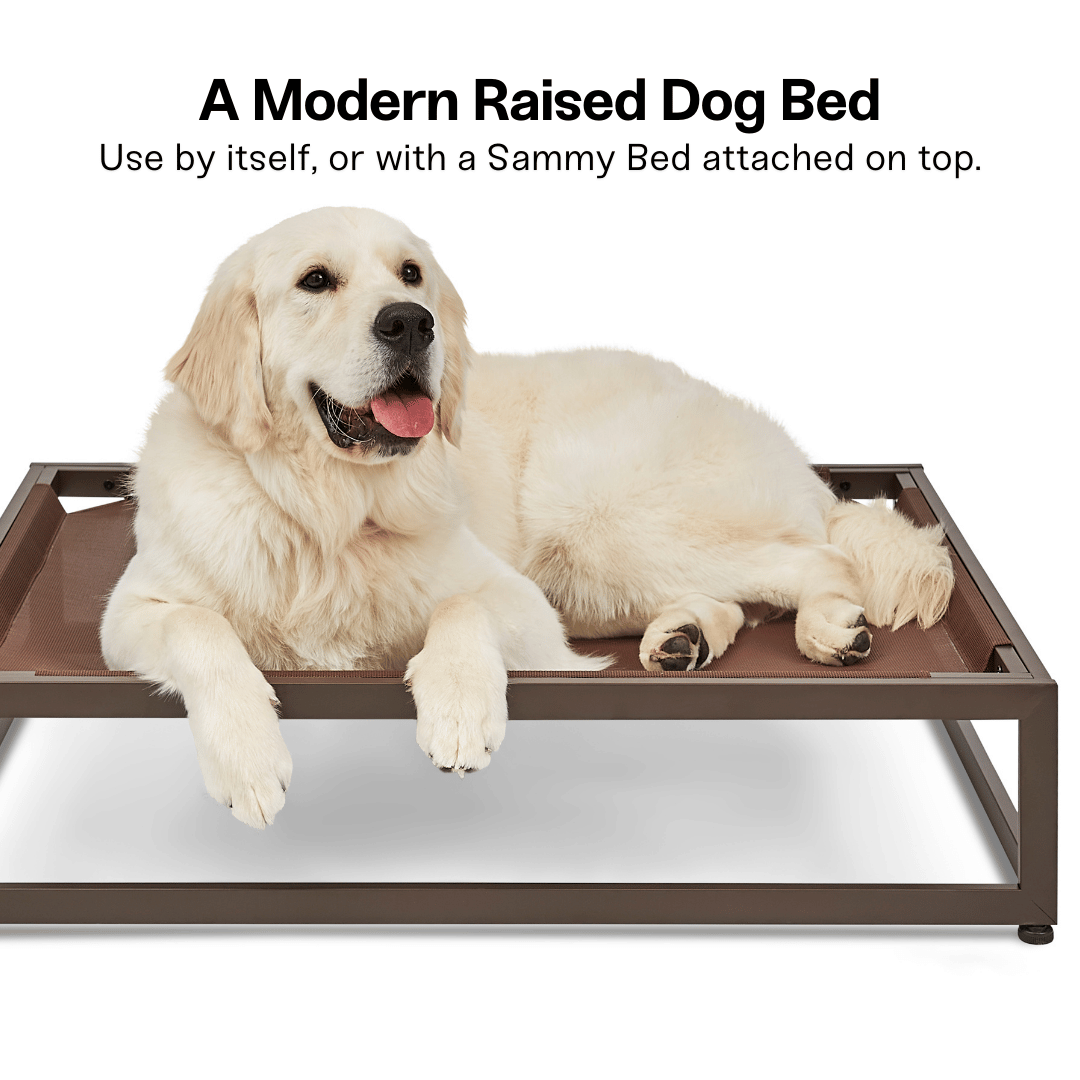 The Up Pup Raised Dog Bed