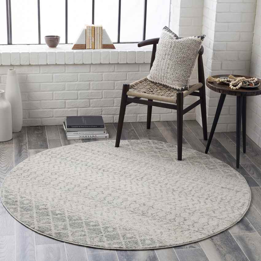 Louise Global Light Gray/White Area Rug