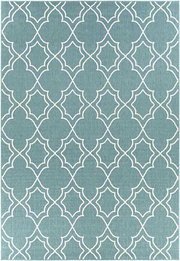 Liam Cottage Teal Area Rug