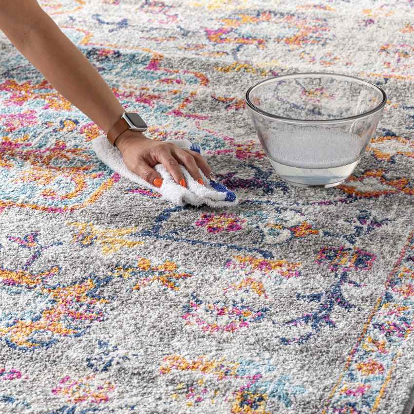 Olivia Traditional Teal/Beige Area Rug