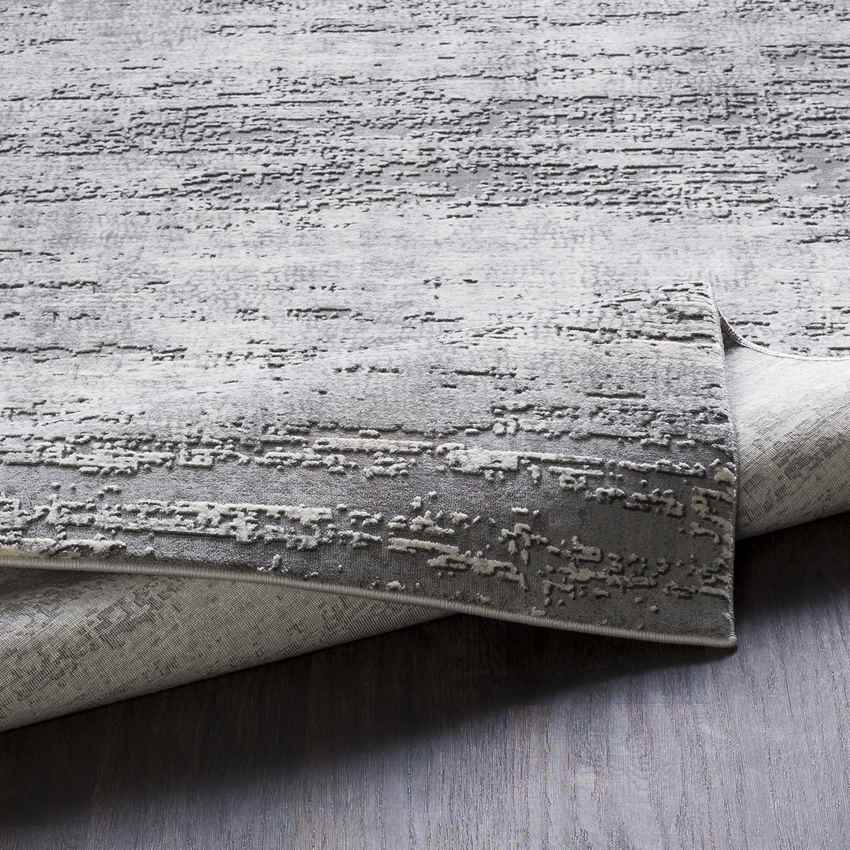 Vitoia Modern Medium Gray Area Rug