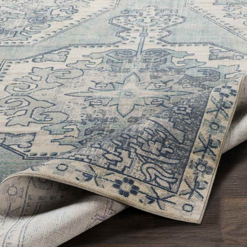 Henry Traditional Teal Area Rug