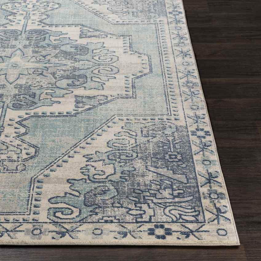 Henry Traditional Teal Area Rug