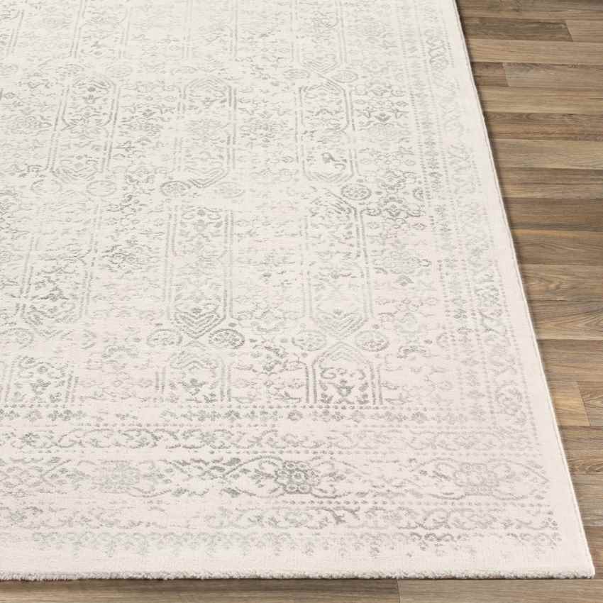 Hyeres Traditional Gray Area Rug