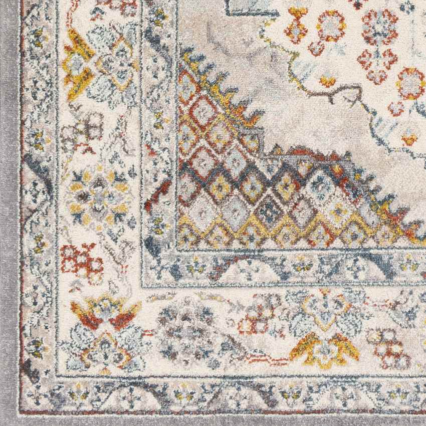 Var Traditional Gray Area Rug