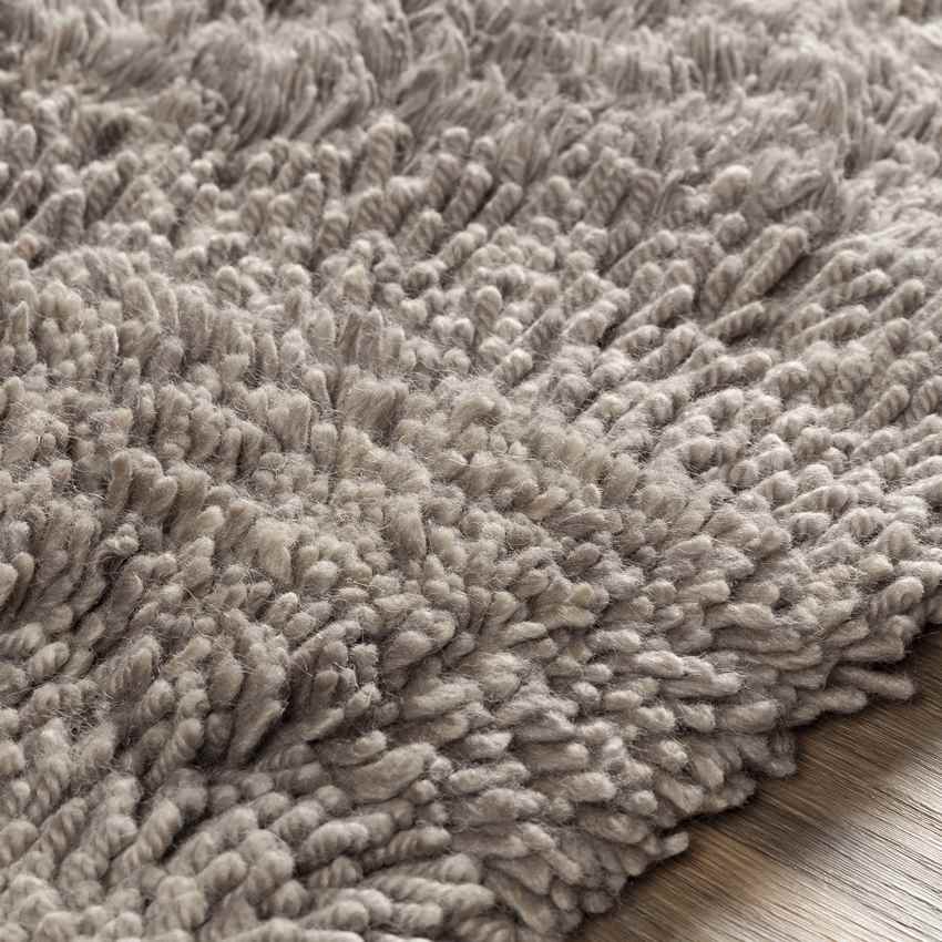 Caroline Modern Taupe Area Rug