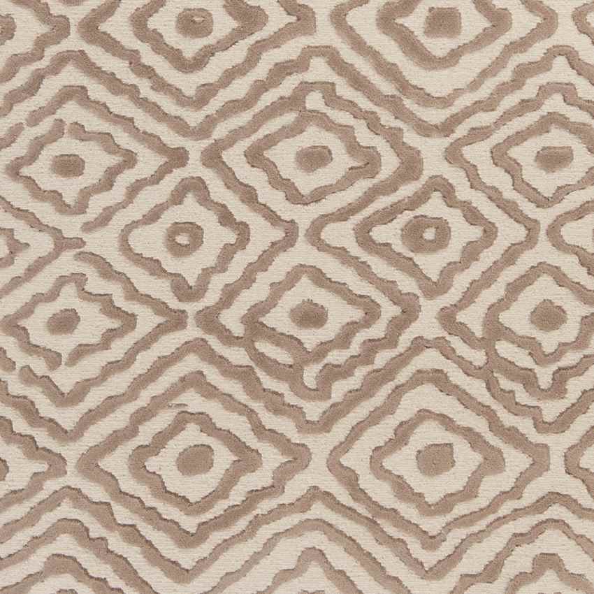 Ashland Modern Taupe/Beige Area Rug