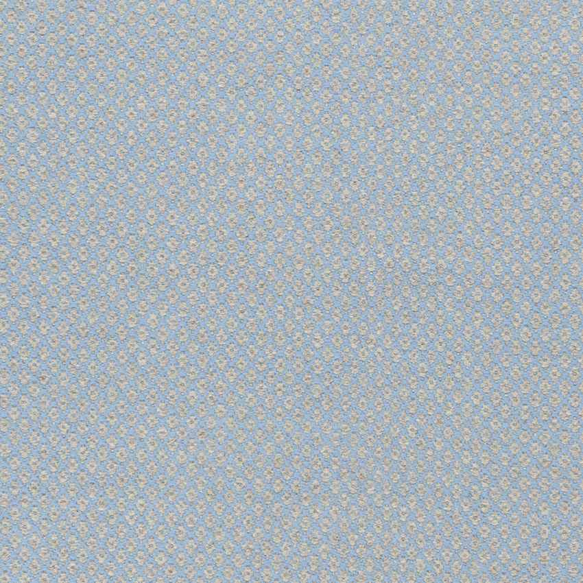 Tranise Cottage Light Gray Area Rug