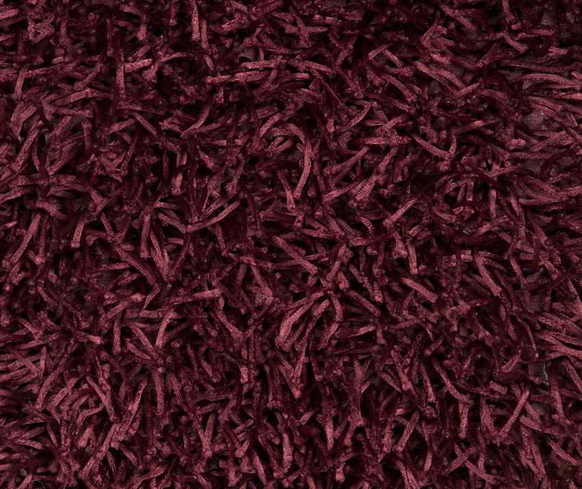 Corby Modern Burgundy Area Rug