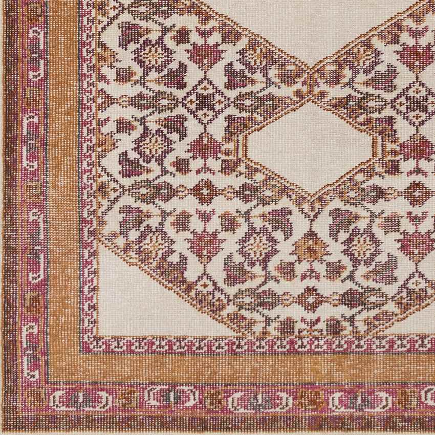 Scafati Traditional Orange Area Rug