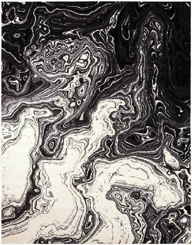 Bird Cove Modern Black Area Rug