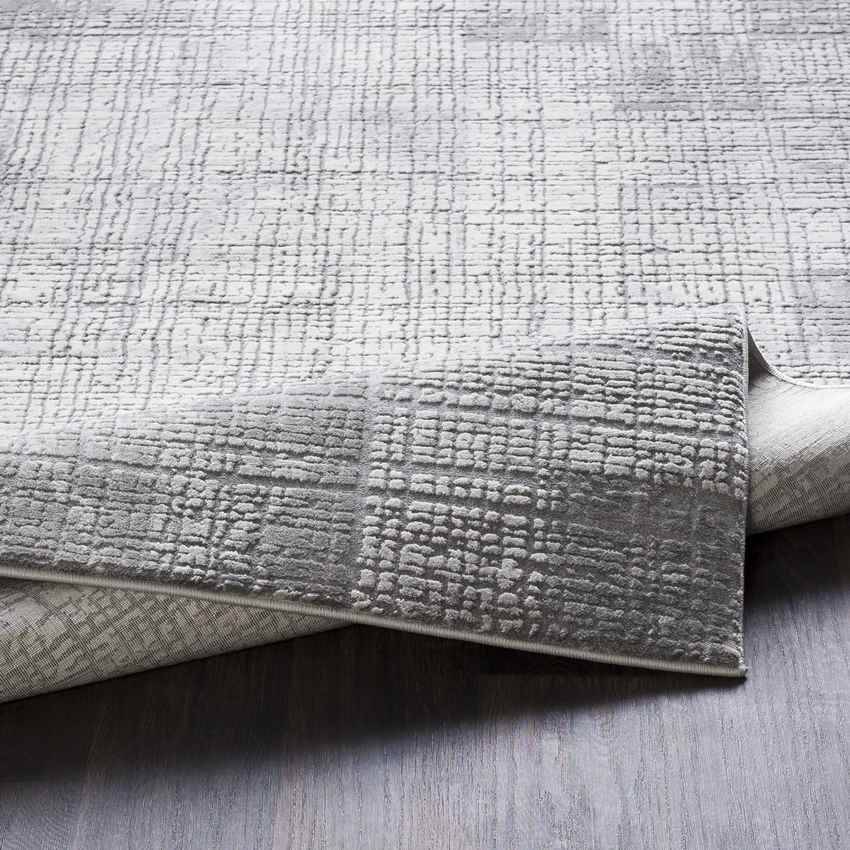 Marystown Modern Taupe Area Rug