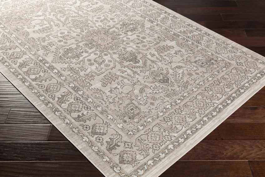 Darp Traditional Charcoal Area Rug