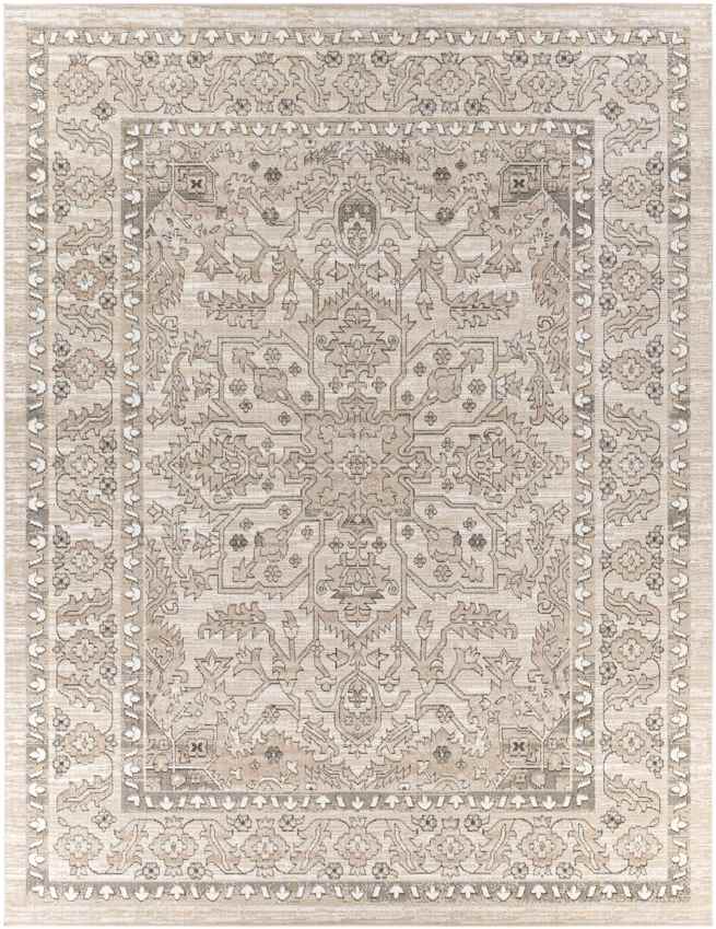 Darp Traditional Charcoal Area Rug