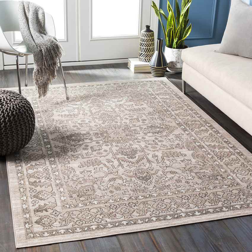 Darp Traditional Charcoal Area Rug