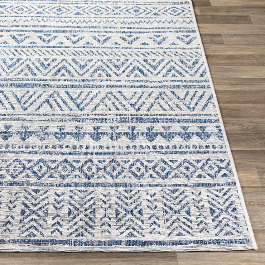 Elodie Global Denim Area Rug