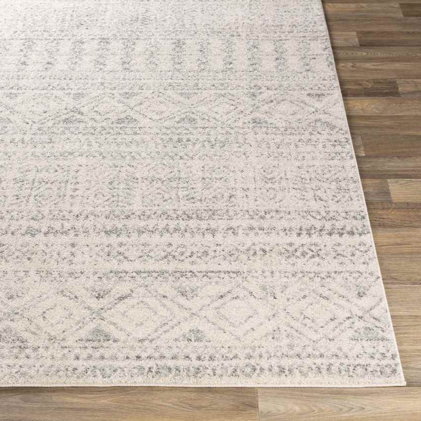 Zandpol Global Light Gray Area Rug