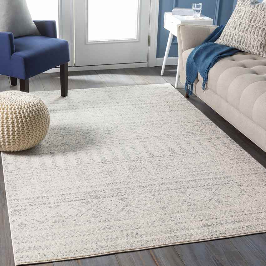 Zandpol Global Light Gray Area Rug
