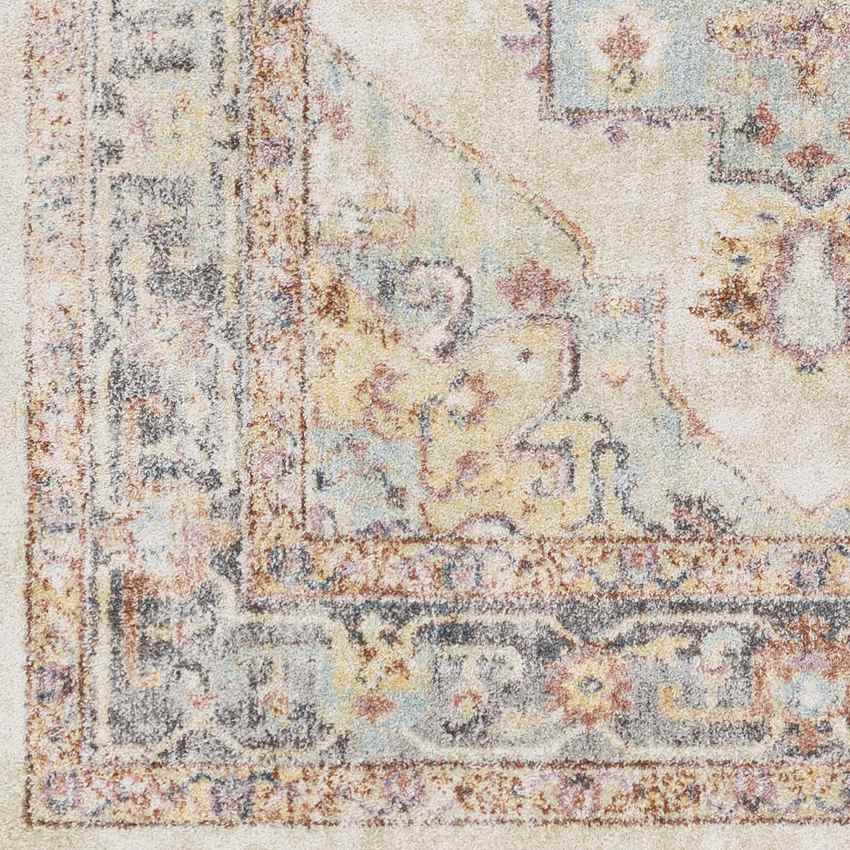 Zuidvelde Traditional Gray/Cream Area Rug